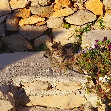 Сasa de vacaciones Moja Posebna Kuca Na Osami Kraj Mora Vis